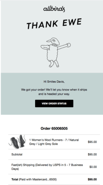 Follow up email, post purchase, from AllBirds