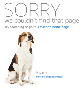 An example of an Amazon 404 page