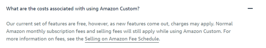 Amazon Custom: Cost statement