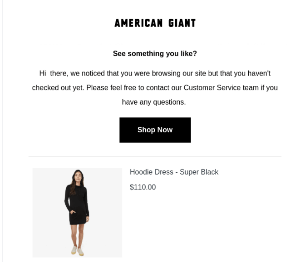 american giant remarketing email