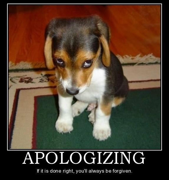 A sad-looking beagle puppy with droopy eyes sitting on a patterned carpet, with a caption above that reads 'APOLOGIZING' and below 'If it is done right, you'll always be forgiven.'