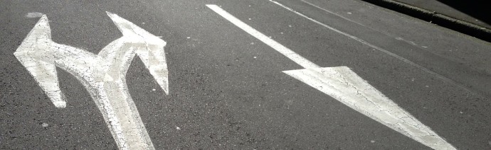 Road markings on asphalt showing a dual-direction left-turn and straight arrow on the left, and a straight-ahead arrow on the right.