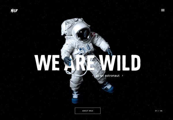 A screenshot of a black web design named WILD