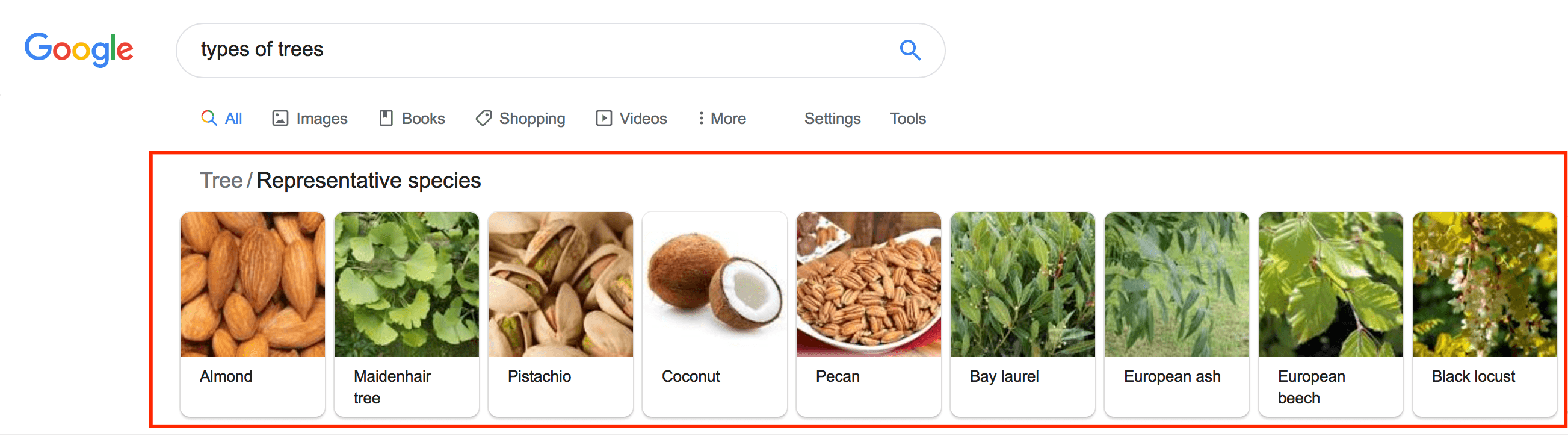 carousels in search results