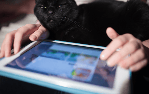 A black cat with a disinterested expression lying next to a tablet held by a person playing a colorful game.