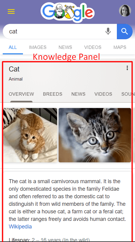 cat knowledge panel mobile whats the difference between mobile seo and desktop seo 3