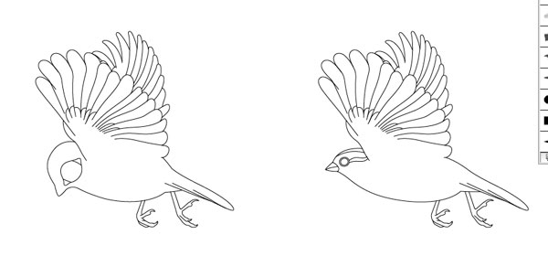 Drawing the Bird