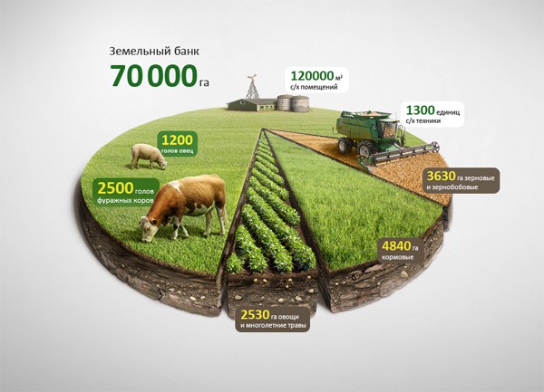 Chart graph data visualization example: Infographic Agro Chart Illustration