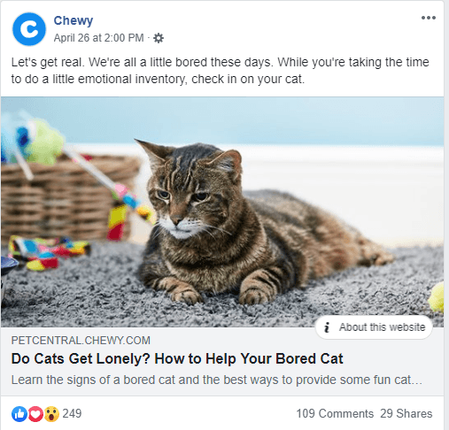 A tabby cat lying on a carpet surrounded by colorful toys, with a link to an article titled 'Do Cats Get Lonely? How to Help Your Bored Cat' from Chewy.