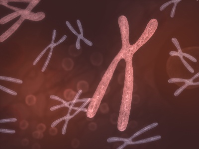 Illustration of chromosomes with a focus on one in the center that is shaped like an X, indicating replication, surrounded by other less distinct chromosomes.