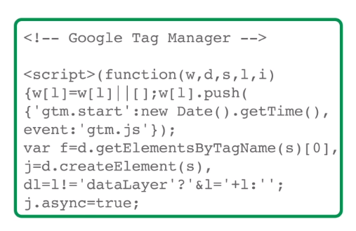 A container snippet for Google Tag Manager