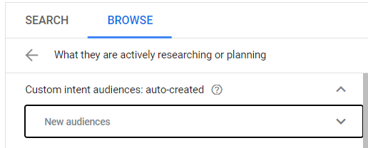 Custom intent audience example