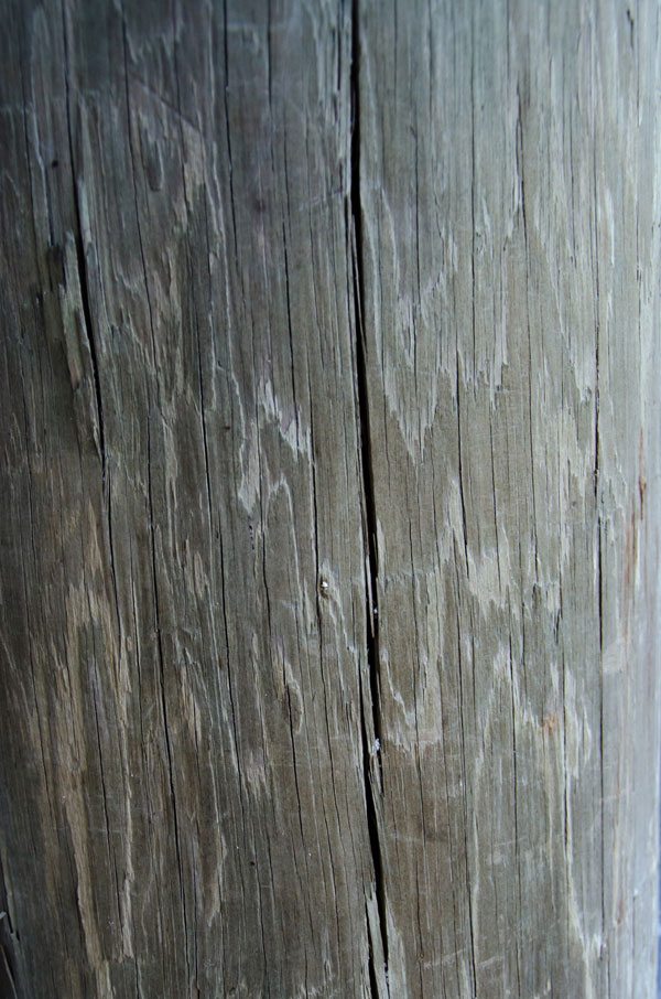 Wood Grain Texture 5