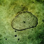 An irregularly shaped patch with a rough texture on a mottled yellowish-green surface with several small holes.