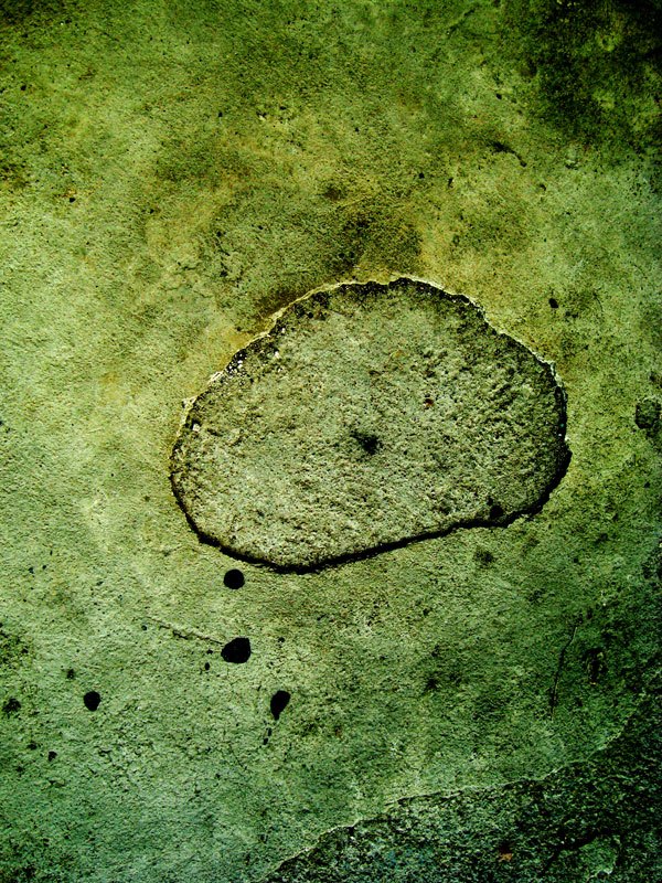 An irregularly shaped patch with a rough texture on a mottled yellowish-green surface with several small holes.