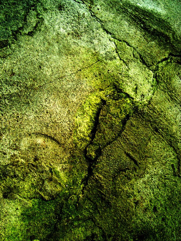 Dirty Green Concrete Texture 02