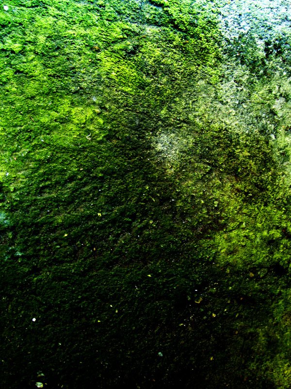 Dirty Green Concrete Texture 03