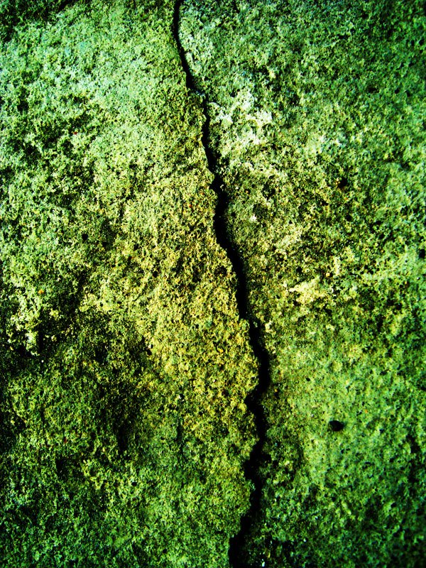 Dirty Green Concrete Texture 05