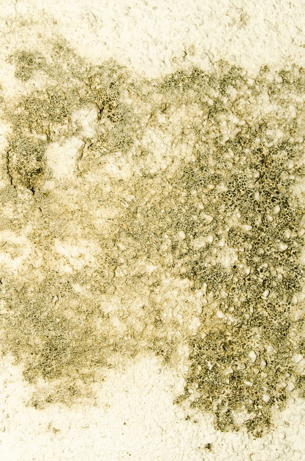 distinctively distressed wall texture 07 preview