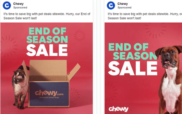 Chewy.com End of Season Sale advertisement with a cat sitting in a cardboard box on the left and a dog standing next to a similar box on the right, both against a red background with a sunburst pattern and the Chewy logo and tagline.