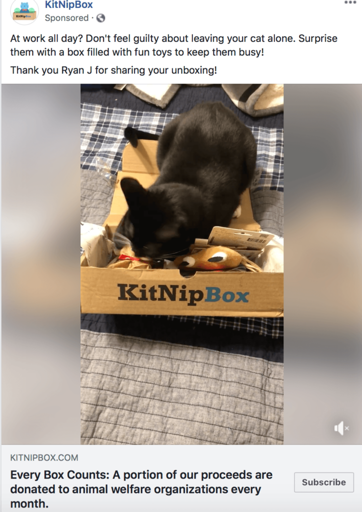 KitNipBox Facebook ad example using user generated content