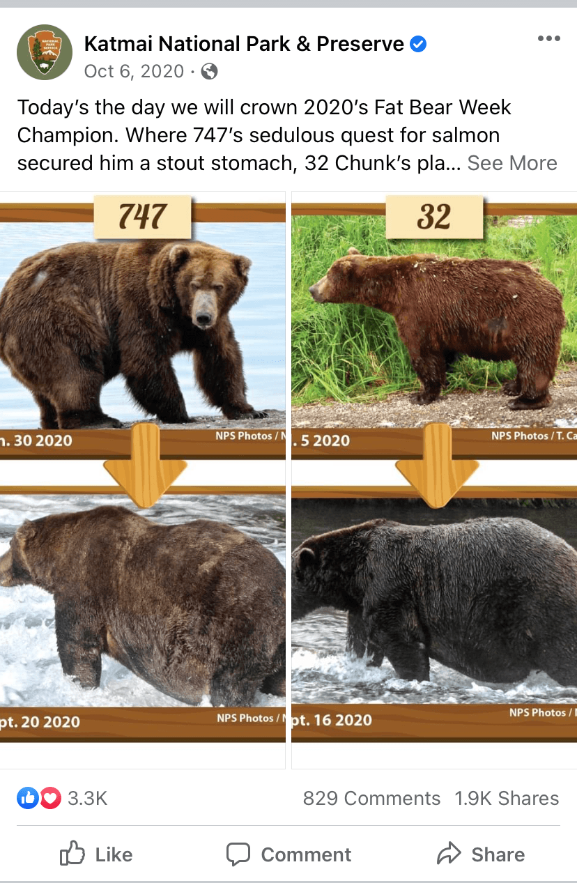 A post from Katmai National Park & Preserve pitting two bears against each other for the Fat Bear Week competition