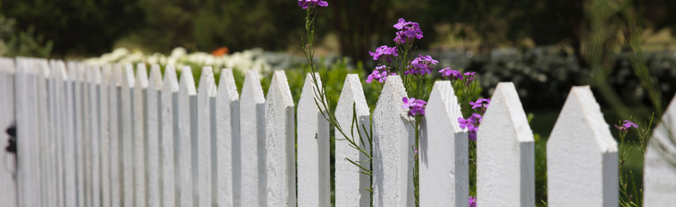 A white picket fence with purple flowers in the foreground and a softly focused garden in the background.