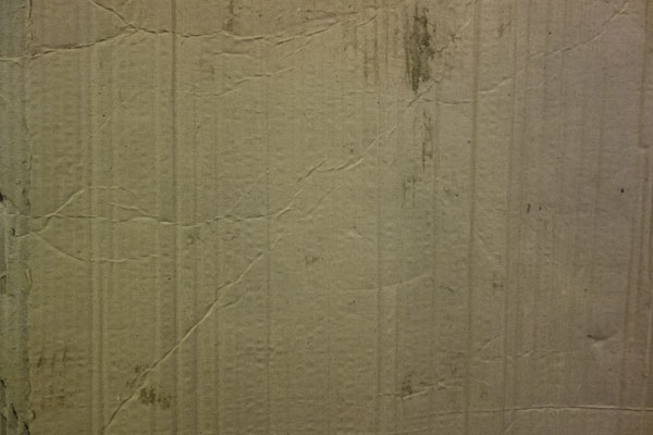 Close-up of a textured wall with thin cracks and slight discoloration.