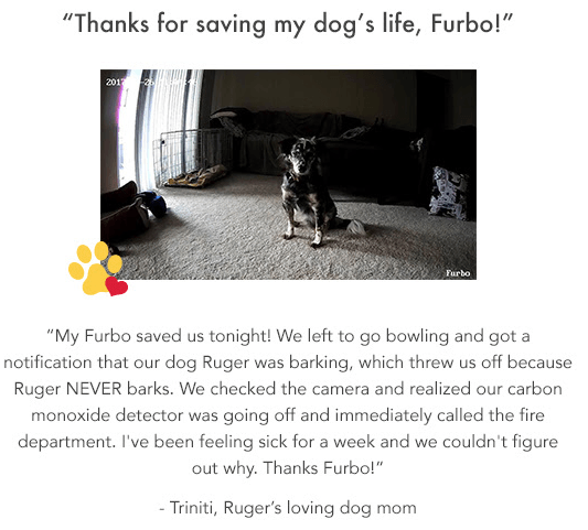 testimonial email from Furbo