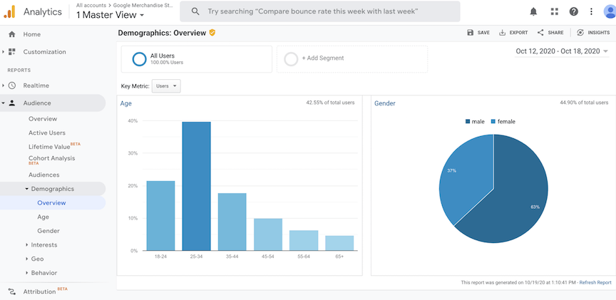 Google Analytics Demographics Report