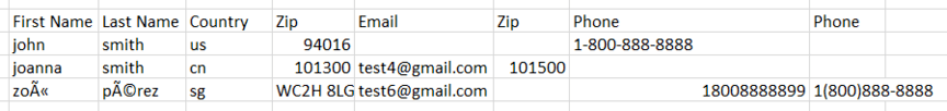 customer information in excel sheet