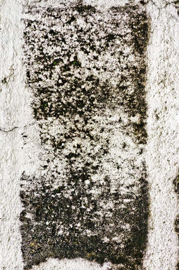 grainy wall texture 01 preview