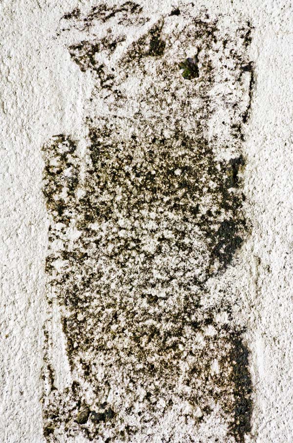 grainy wall texture 05 preview