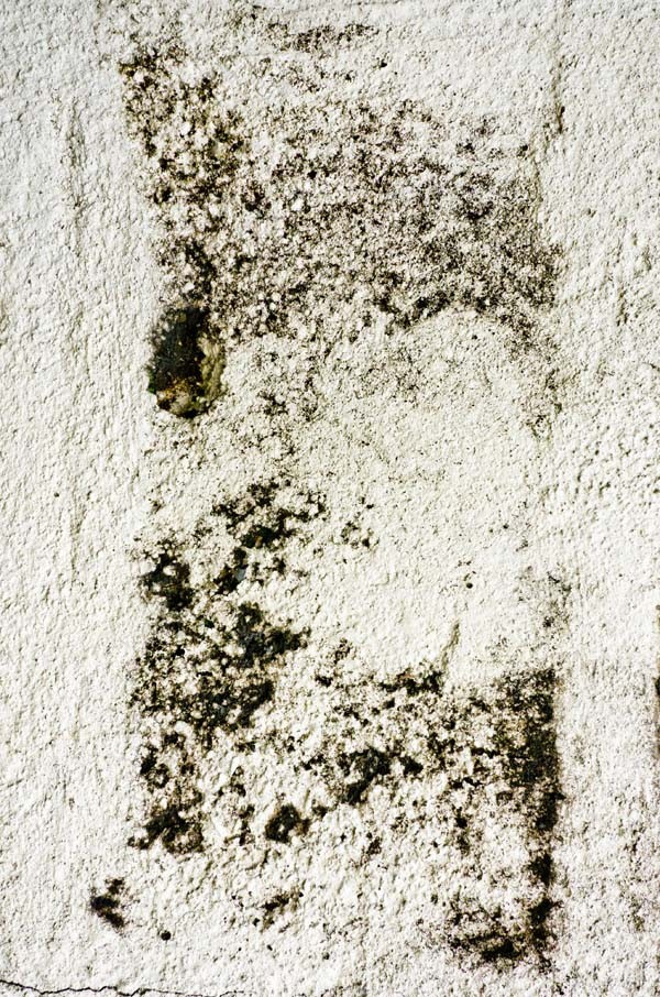 grainy wall texture 06 preview