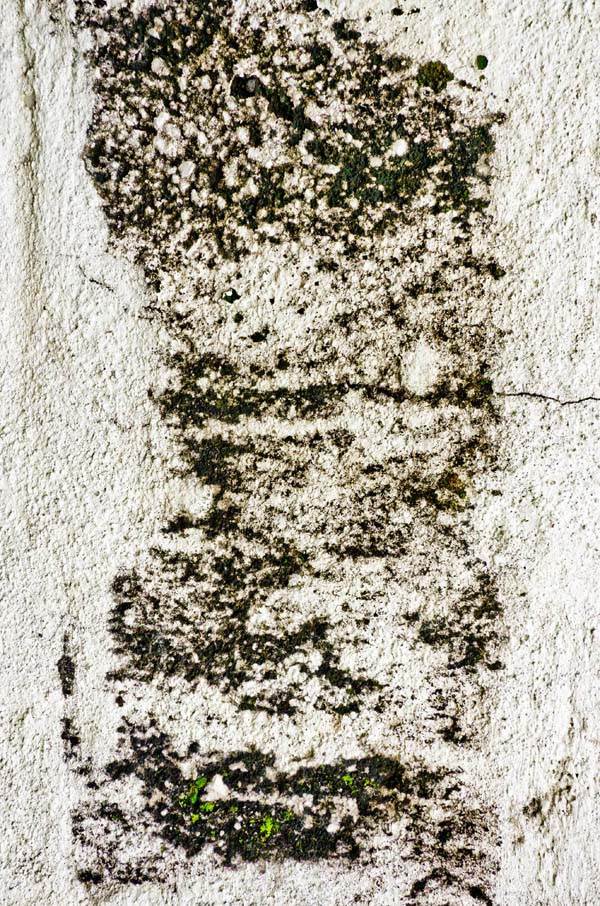 grainy wall texture 07 preview