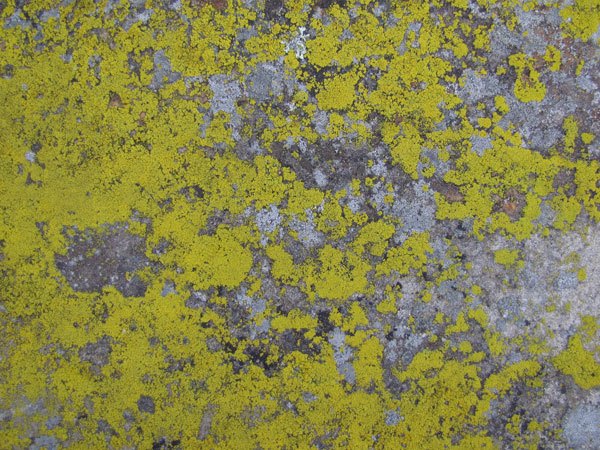 grunge stone texture 01 preview