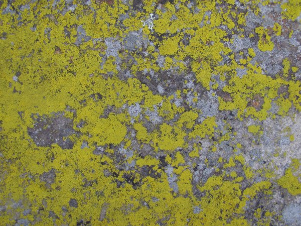 grunge stone texture 01 preview