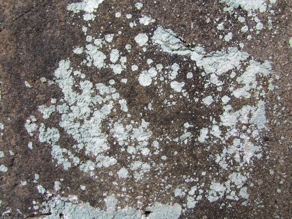 Grunge Stone Texture 05