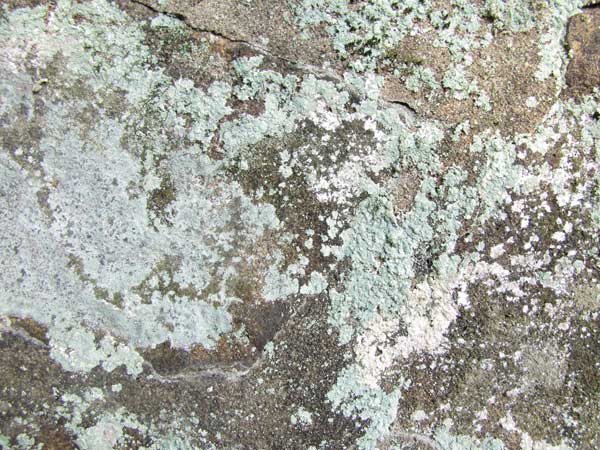 Grunge Stone Texture 07