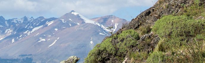 Mountainous landscape with green vegetation in the foreground, snow-patched slopes in the middle, and snow-capped peaks in the background under a partly cloudy sky.