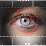 retina biometric scan