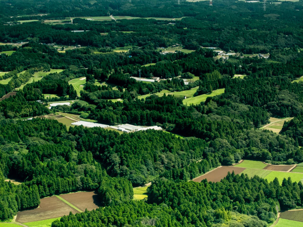 Aerial view of a rural landscape with dense forests and agricultural fields in varying shades of green and brown.