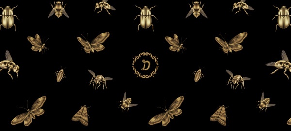 image_18_daniel_lasso_casas