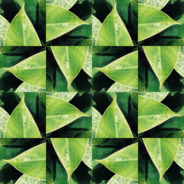 image_18_kaleidoscope