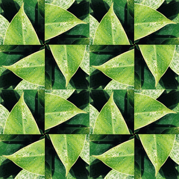 image_18_kaleidoscope