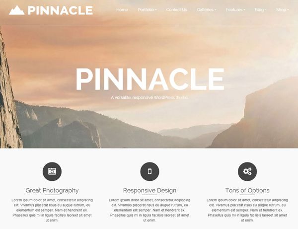 image_19_pinnacle