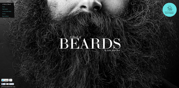 image 22 beards