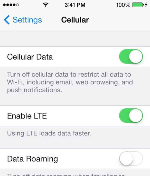 Screenshot of an iPhone's 'Settings' screen showing the 'Cellular' options with 'Cellular Data' and 'Enable LTE' toggled on, and 'Data Roaming' toggled off.