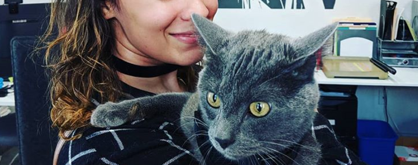 A smiling woman with wavy brown hair and a black choker holding a gray cat with yellow eyes, both looking towards the camera, with office supplies in the background.