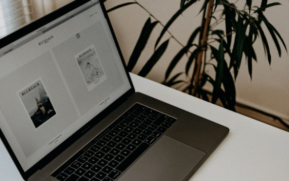 An open laptop on a white surface displaying a webpage with two articles, next to a potted plant with slender leaves.